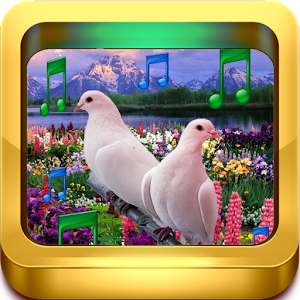 Bird Sounds.apk 1.5