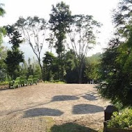 綠光森林富野綿羊牧場