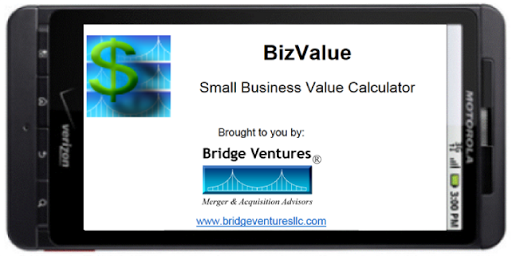 BizValue