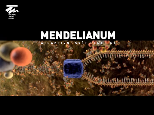 Mendelianum - svět genetiky