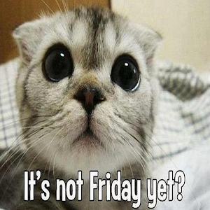Is today friday yet?.apk 1.0