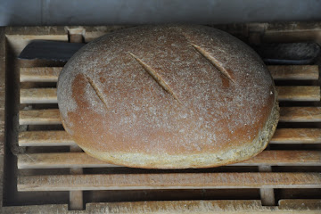 Ricotta Whey and Barley Bread
