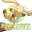 RPG ジオファンタジア Download on Windows