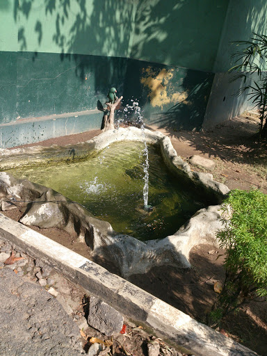 SLT Fountain