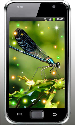 Dragonfly Best live wallpaper