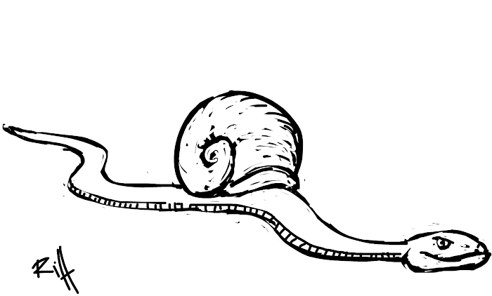 a snailke