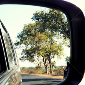 Adieu by Sayantan Das - Novices Only Street & Candid