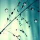 Blue Raindrop Live Wallpaper APK