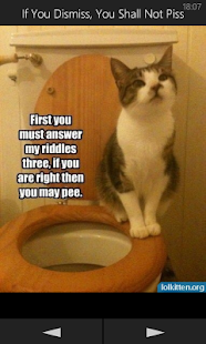 Lastest LolKitten APK for Android