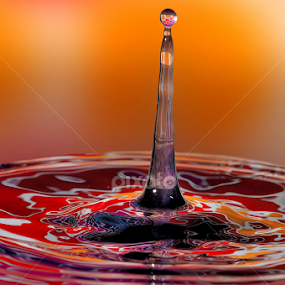 Refractions by Nirmal Kumar - Abstract Water Drops & Splashes