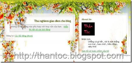 colibri-blogger