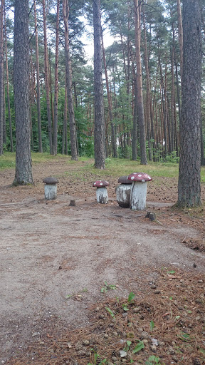 Kulautuva Mushrooms 