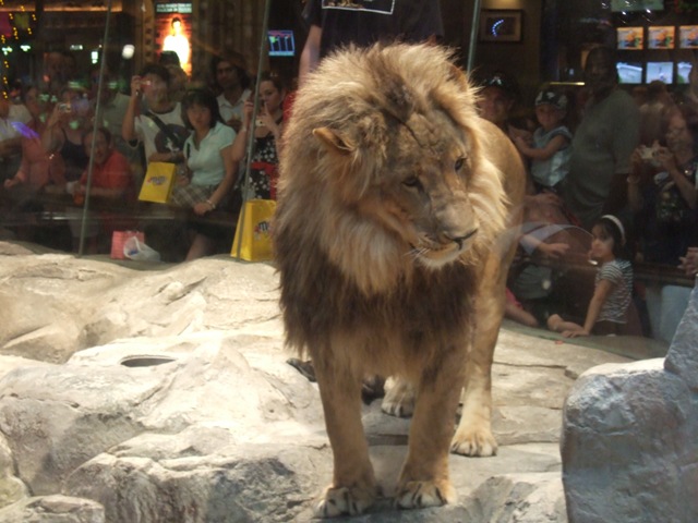 [AmericatripSepOct2008200809290632.jpg]