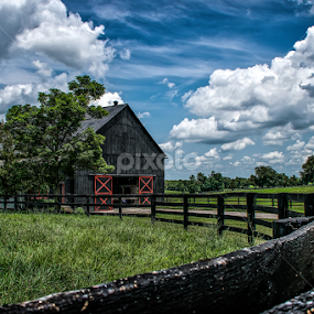 Kentucky Barn by Paulo Peres - Buildings & Architecture Other Exteriors