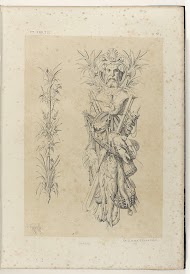 Plantenstengel en vistrofee