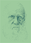 Bacterial Colonies
