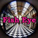 Fisheye View Gallery