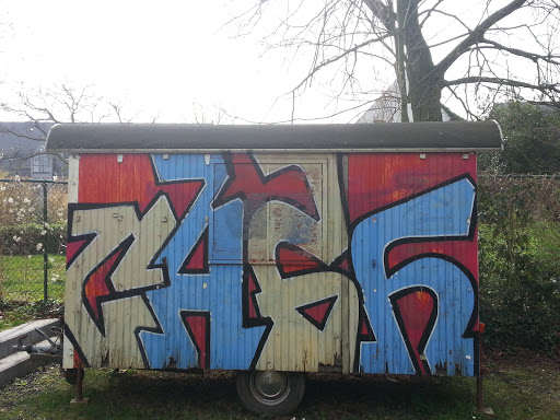 Diest Graffiti in Park