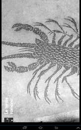 Bevagna - Umbria Musei poster 11