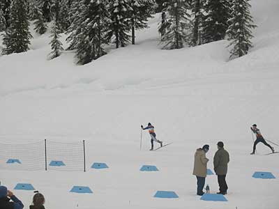 Funny Photography, Nature Photo