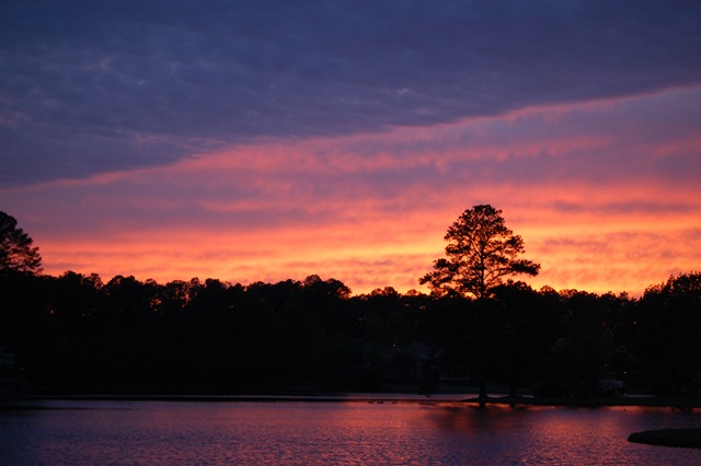 [DSC_0125[6].jpg]