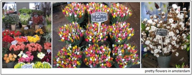[flowers_amsterdam1[3].jpg]