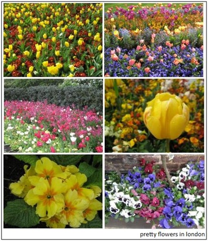 [flowers_london[3].jpg]