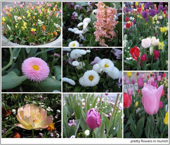 [flowers_munich[3].jpg]