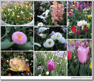 flowers_munich