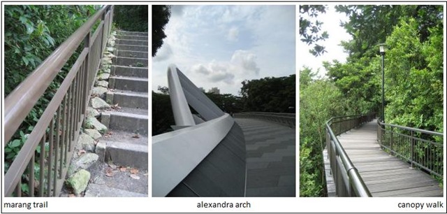 [southernridges1[4].jpg]