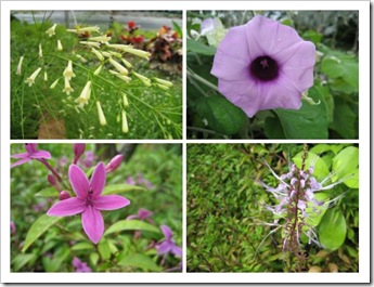 southernridgesflowers2