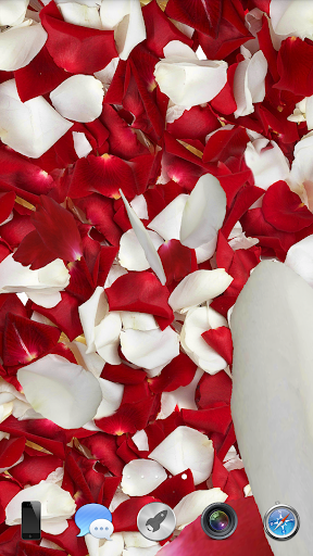 Petals 3D live wallpaper