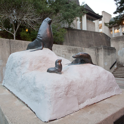 UCSC Sea Lion Sculpture