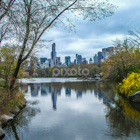 From Central by Jesus Rivero - City,  Street & Park City Parks