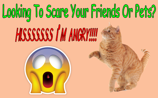 Cat Hiss Sound Prank App