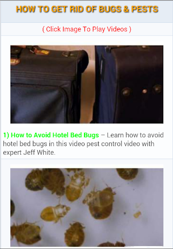 How to Get Rid of Bugs Pests
