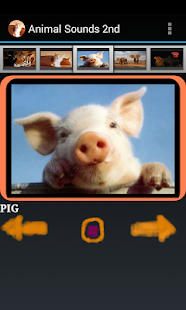 How to install Free Animal Sounds Beta 2.5 apk for bluestacks
