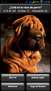 Cuestionario: Razas de perros Screen 2