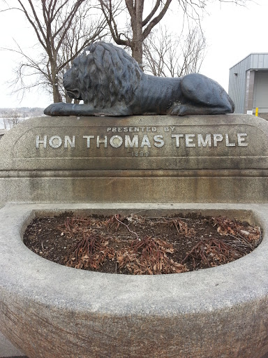 Thomas Temple Lion