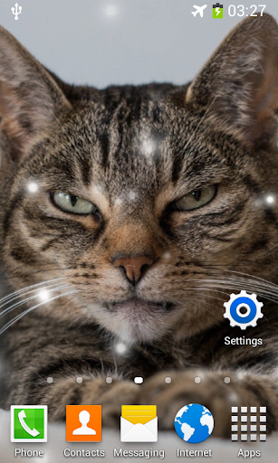 Angry Cat Live Wallpaper