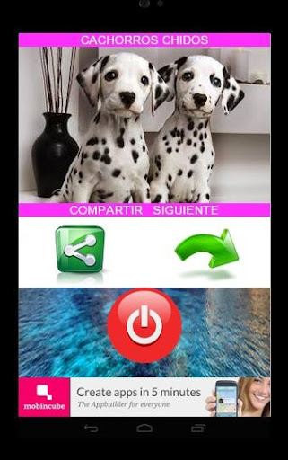 免費下載娛樂APP|CACHORROS-PERROS-PUPPIES app開箱文|APP開箱王