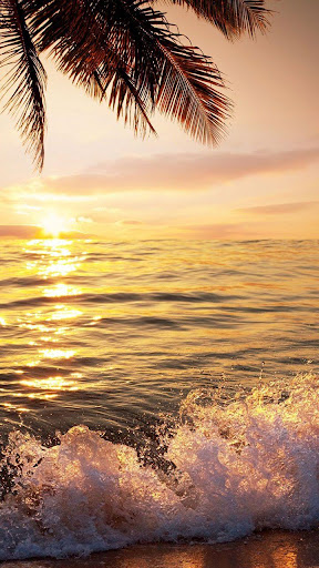 Beach Sunset Live Wallpaper