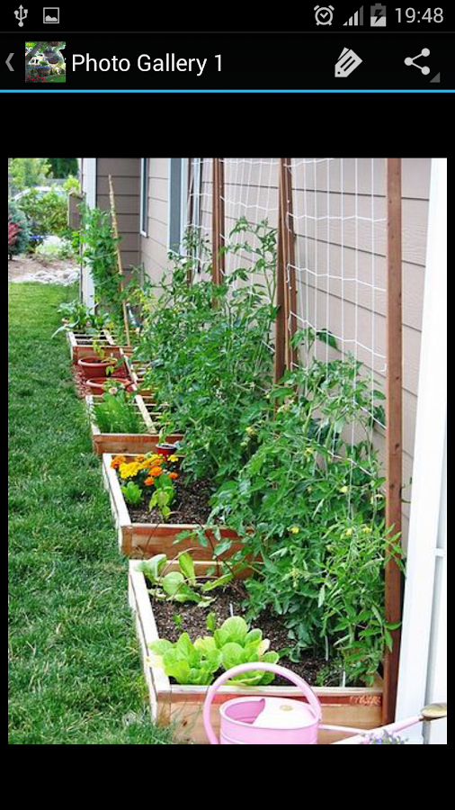   Garden Design- screenshot 