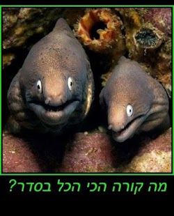 Lastest צחוקים ודאחקות APK
