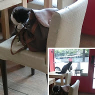 貓旅行咖啡輕食館