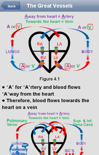 【免費醫療App】Cardiac Blood Flow-APP點子