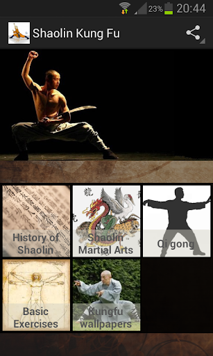 Shaolin Kung Fu