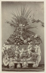 Stilleven van tropische vruchten