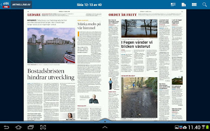 eHN - Falkenberg poster 10