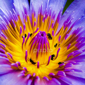 by Akiro Mahilom - Instagram & Mobile iPhone